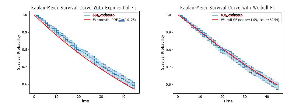 Comparison graphs of Kaplan-Meier survival curves with different fits; the left shows an exponential fit and the right a Weibull fit, each displaying survival probability over time.